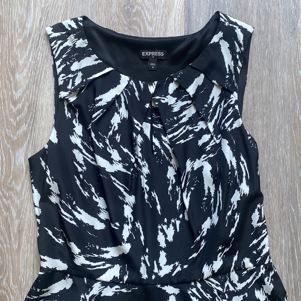 Express Dress - Picture 2 of 7